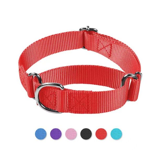 Cat And Dog Collar Adjustable Nylon Explosion-proof Dog Harness Hand Holding Rope Pet Supplies - Image 3