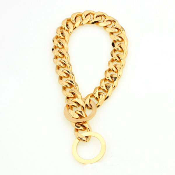 Stainless Steel Pet Casting Coarse Traction Chain - Image 2