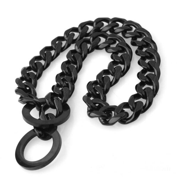 Stainless Steel Pet Casting Coarse Traction Chain - Image 6