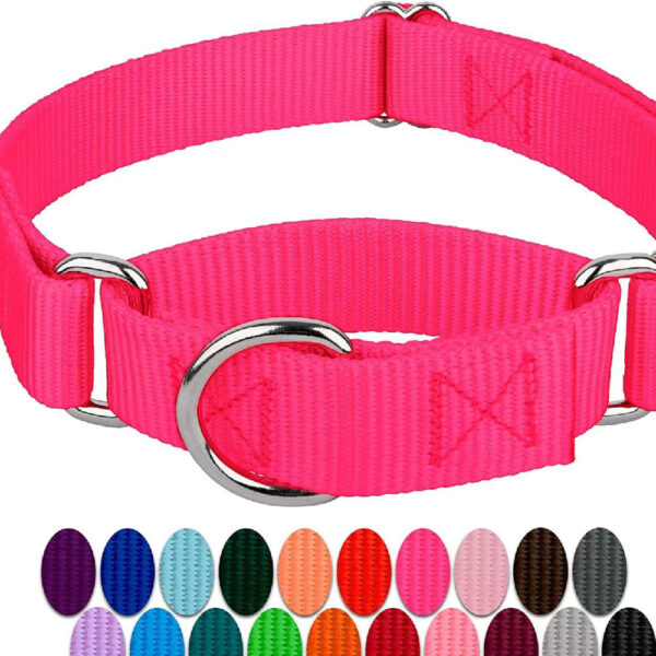 Cat And Dog Collar Adjustable Nylon Explosion-proof Dog Harness Hand Holding Rope Pet Supplies