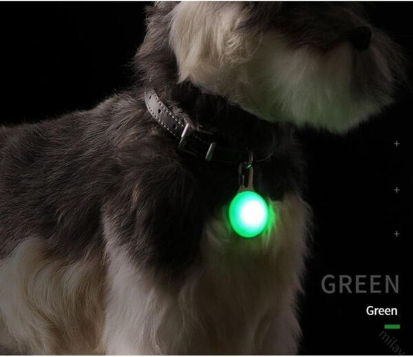 LED Luminous Pet Round Pendant Luminous Dog Tag Pet Charm Dog Flashing Tag Dog Collar Light, Suitable For Pets To Walk At Night - Image 3