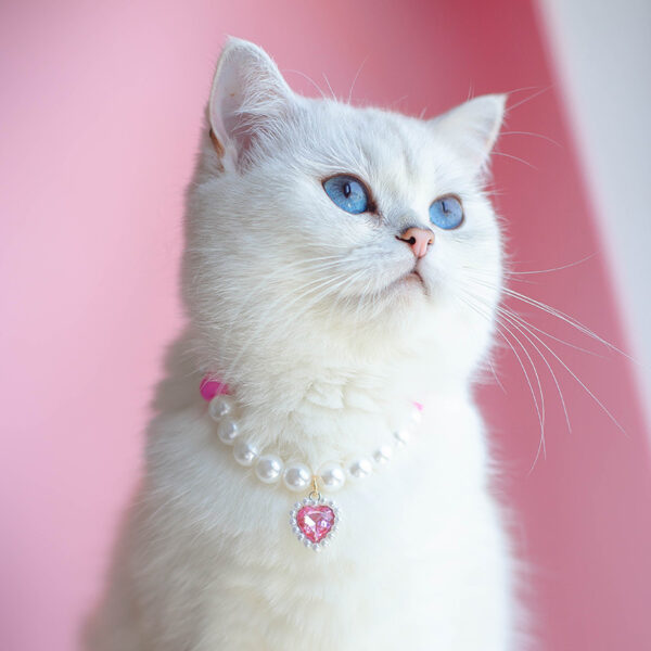 Pet Cat Beads Love Necklace - Image 8